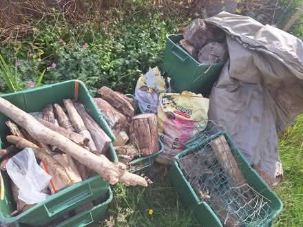 Photo of free Firewood (Forestgreen) #1