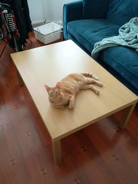 Photo of free Coffee Table (Hornsey N8) #1