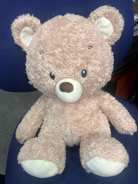 Photo of free Teddy bear (Old Winsdor SL4) #1