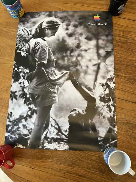 Photo of free Jane Goodall Monkey Apple poster (W4 Turnham Green) #1