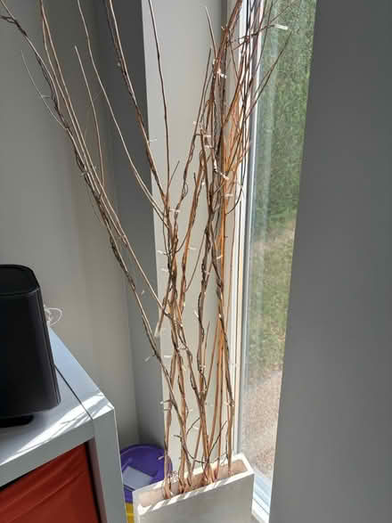 Photo of free Light up twig vase (Prestbury, SK10) #4