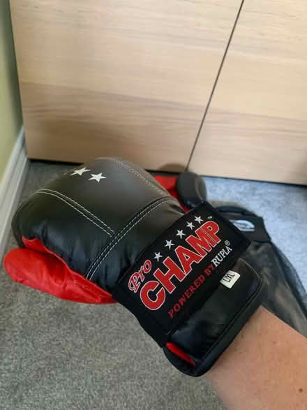 Photo of free Boxing gloves L/XL (Garston L19) #1