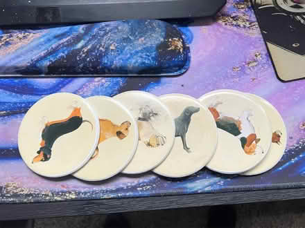 Photo of free Dog cup coasters (Boulder Ridge Apartments) #2