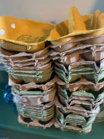 Photo of free egg boxes (GU14) #1