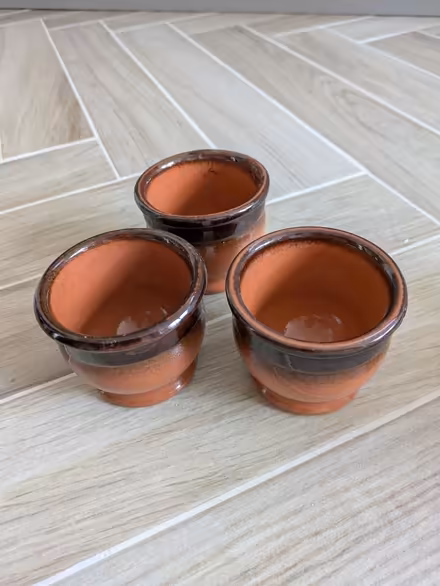 Photo of free Small Terracotta Dessert Dishes (Enfield EN2) #1