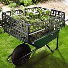 Photo of free Wheelbarrow Capacity Extender (Leckhampton GL53) #2