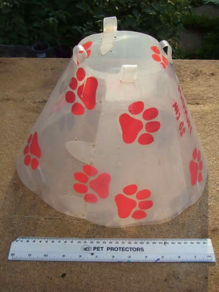 Photo of free Large Dog Medical Collar (Brotheridge Green WR8) #1