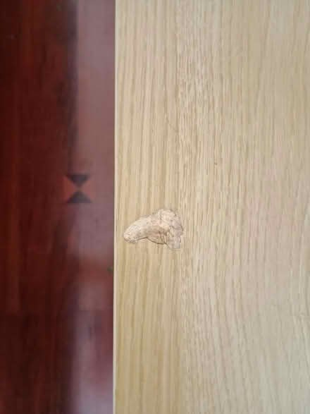 Photo of free Coffee Table (Hornsey N8) #3