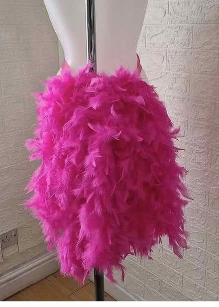 Photo of free Pink Feather Bustle - Dressing Up/Dance/Carnival? (Littleover DE23) #1