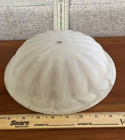 Photo of free Ceil & Ceiling Fan Lamp Shade (Sandy Hook) #1