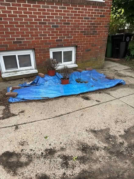 Photo of free stuff on sidewalk (60 Highland Ave, Watertown) #2