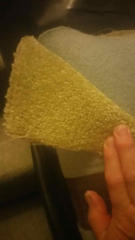 Photo of free lime green carpet (S5 8DP) #1