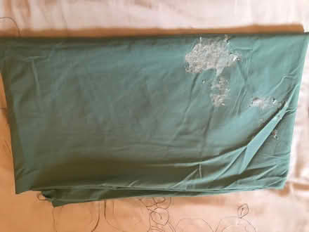 Photo of free Large dust sheet (Reading West RG1) #1