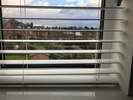 Photo of free White Venetian blind (Harborne) #2