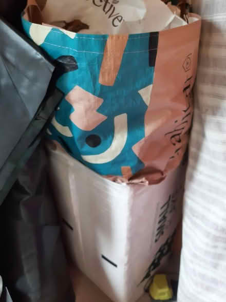 Photo of free Guinea pig stuff (Chester) #1