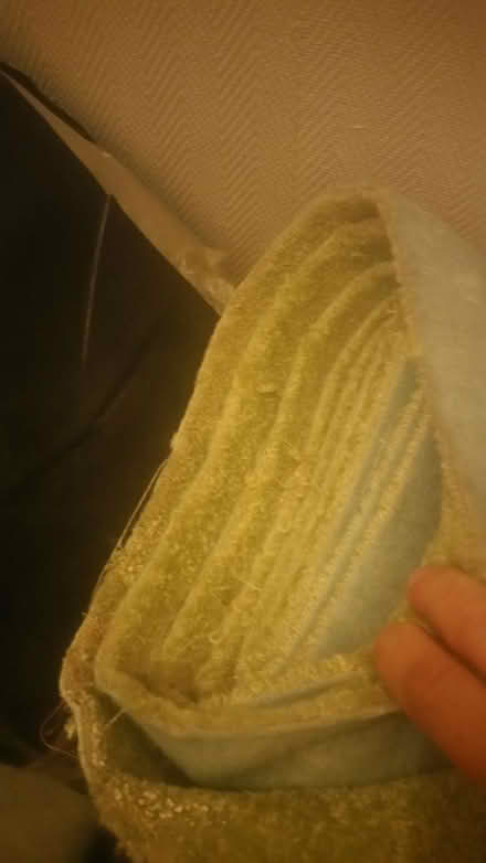 Photo of free lime green carpet (S5 8DP) #2