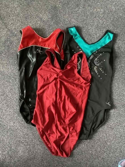 Photo of free Leotards (Woodley RG5) #1