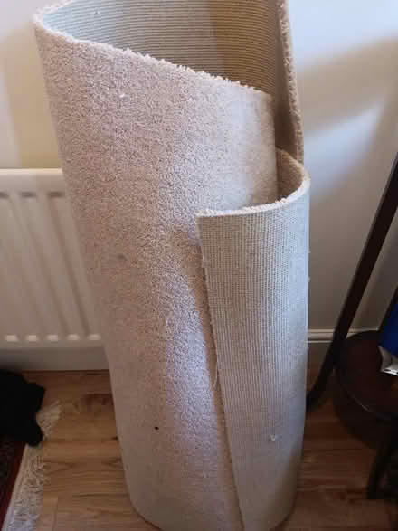 Photo of free Carpet offcuts for weed suppression or a tiny loo (Fords Farm RG30) #2