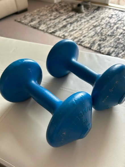 Photo of free Pair of dumbells (Leamington Spa) #1