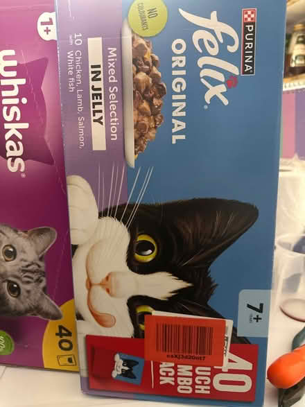 Photo of free Senior cat food (Greater Leys OX4) #1