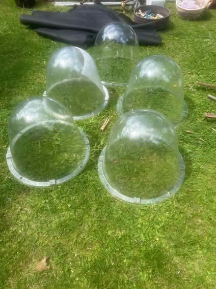 Photo of free 5 plastic cloches for garden/ allotment (Widmer End HP15) #1