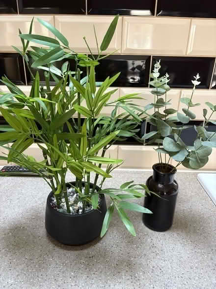 Photo of free Household items (Borrowash DE72) #2