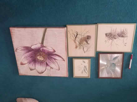 Photo of free Pictures (Littlemore OX4) #1