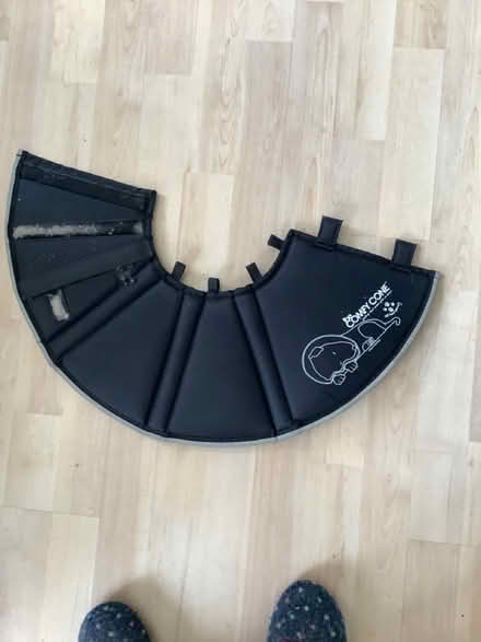 Photo of free Dog cone Comfycone. (Hoddesdon EN11) #2