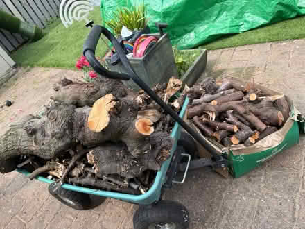 Photo of free firewood (Hillsborough S6) #1