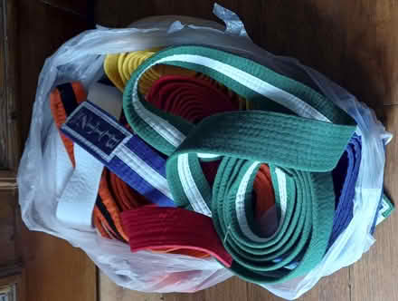Photo of free Martial Arts Belts (Brailsford DE6) #1