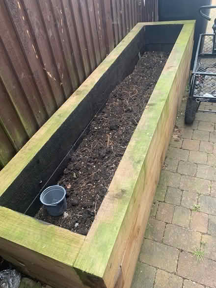 Photo of free planter (Addlestone) #3