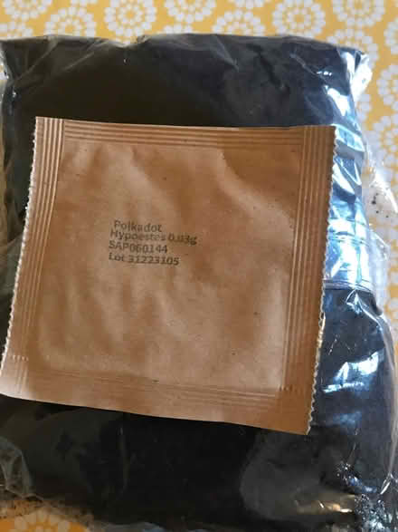 Photo of free Houseplant seed kit (St Albans) #2