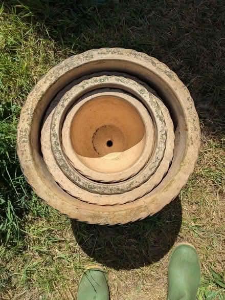 Photo of free Outdoor plant pots (Wallington PO16) #3
