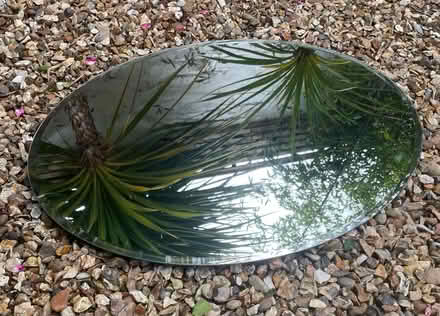 Photo of free Large oval mirror (Shrewsbury SY1) #2