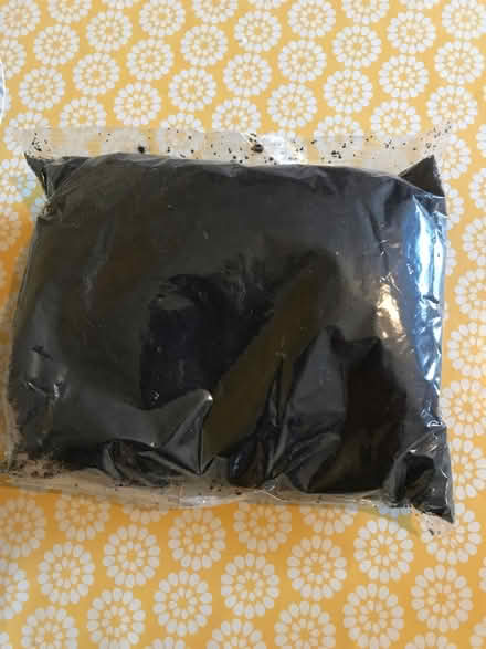 Photo of free Houseplant seed kit (St Albans) #3