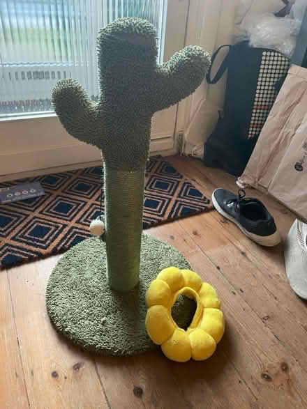 Photo of free Cat scratching post and collar (Chiswick W4) #1
