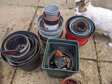 Photo of free Plant pots (Stalybridge SK15) #1