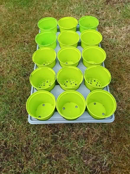 Photo of free Tray of Plant Pots (Oakwood, Derby) #1