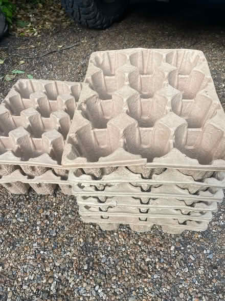 Photo of free Cardboard pods for growing plants (Rottingdean) #2