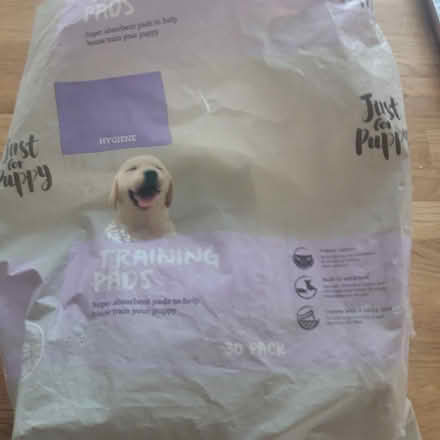 Photo of free Puppy training pads (Bampton OX18) #1