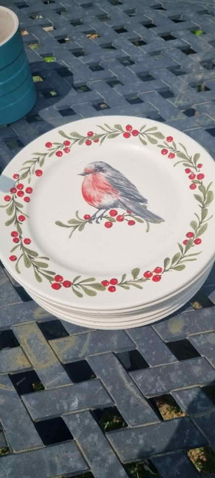 Photo of free 8 Christmas Robin plates (Panshager AL7) #1
