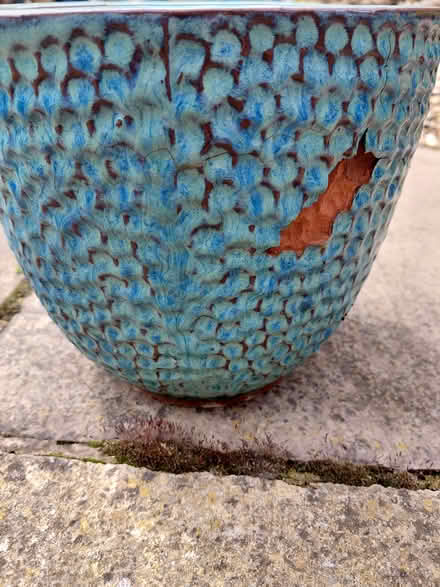Photo of free Planter (Sheffield 12 S12) #3