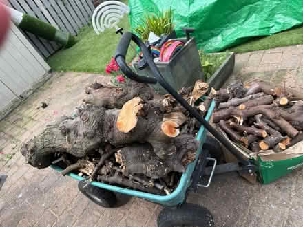 Photo of free firewood (Hillsborough S6) #2