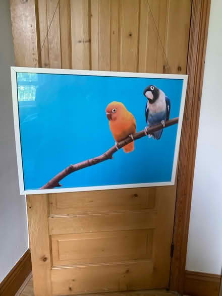 Photo of free Framed poster (Cardiff (Canton) CF5) #1