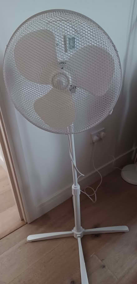 Photo of free Standing fan (King's Hedges Ward CB4) #1