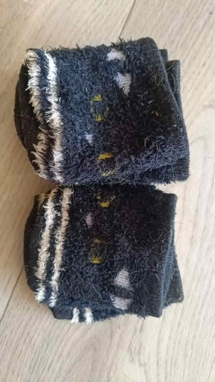 Photo of free Chair/stool socks (Ashingdon SS4) #1
