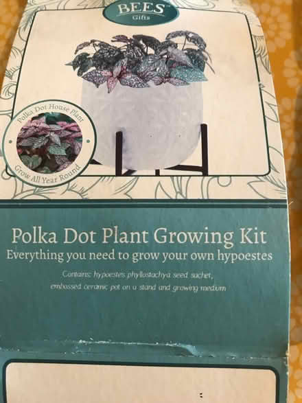 Photo of free Houseplant seed kit (St Albans) #1