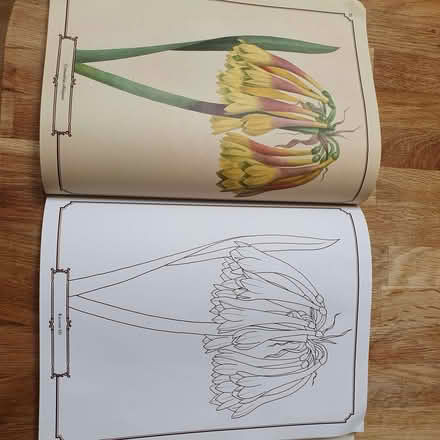 Photo of free Colouring books, flowers and butterflies (Over Kellet LA6) #2