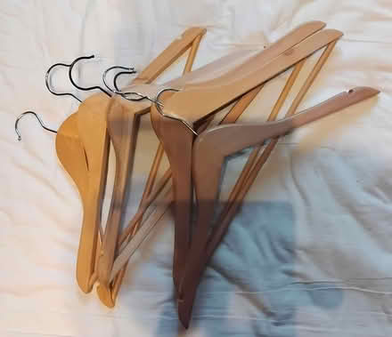 Photo of free Hangers (islington N1) #1