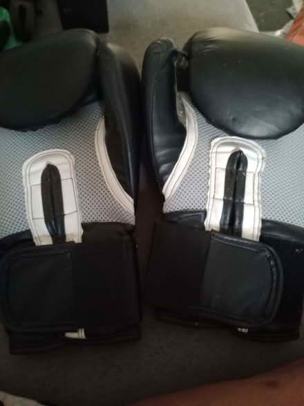 Photo of free Boxing gloves (Churchgate EN8) #2